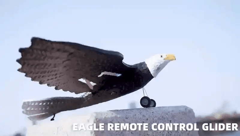 RC Eagle For Kids